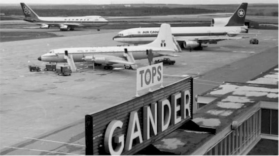 gander